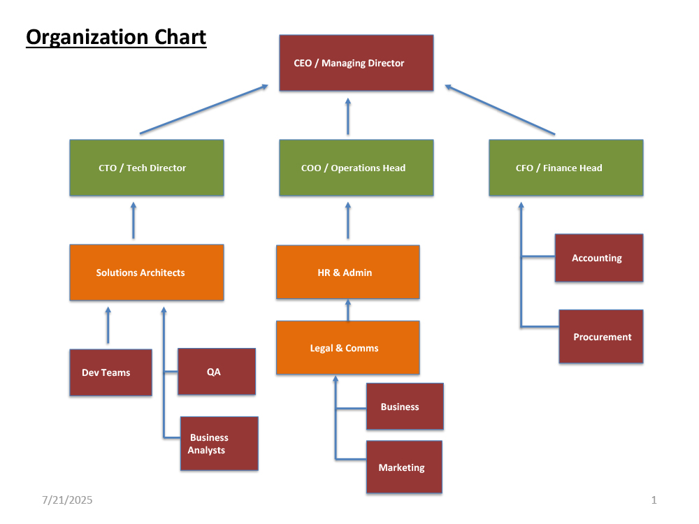 Rhodium045 Global Solutions Pvt Ltd_Organization_Chart